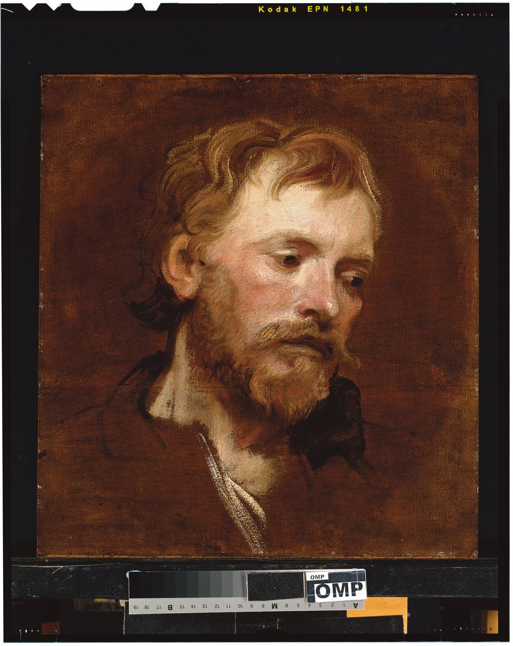 Een bebaarde man, een studie door Anthony van Dyck