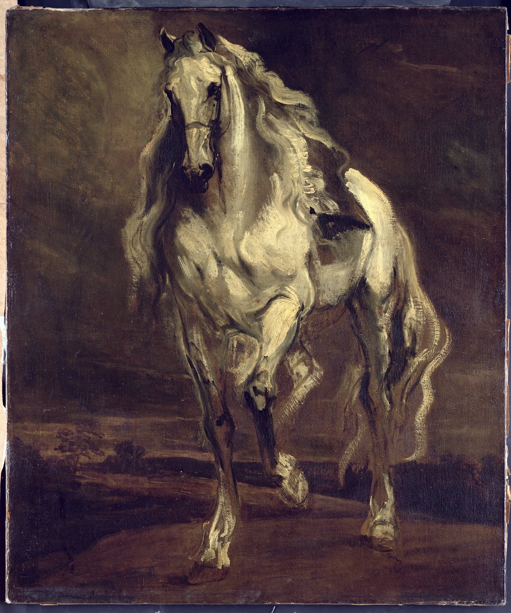Onbekend Beeld door Anthony van Dyck