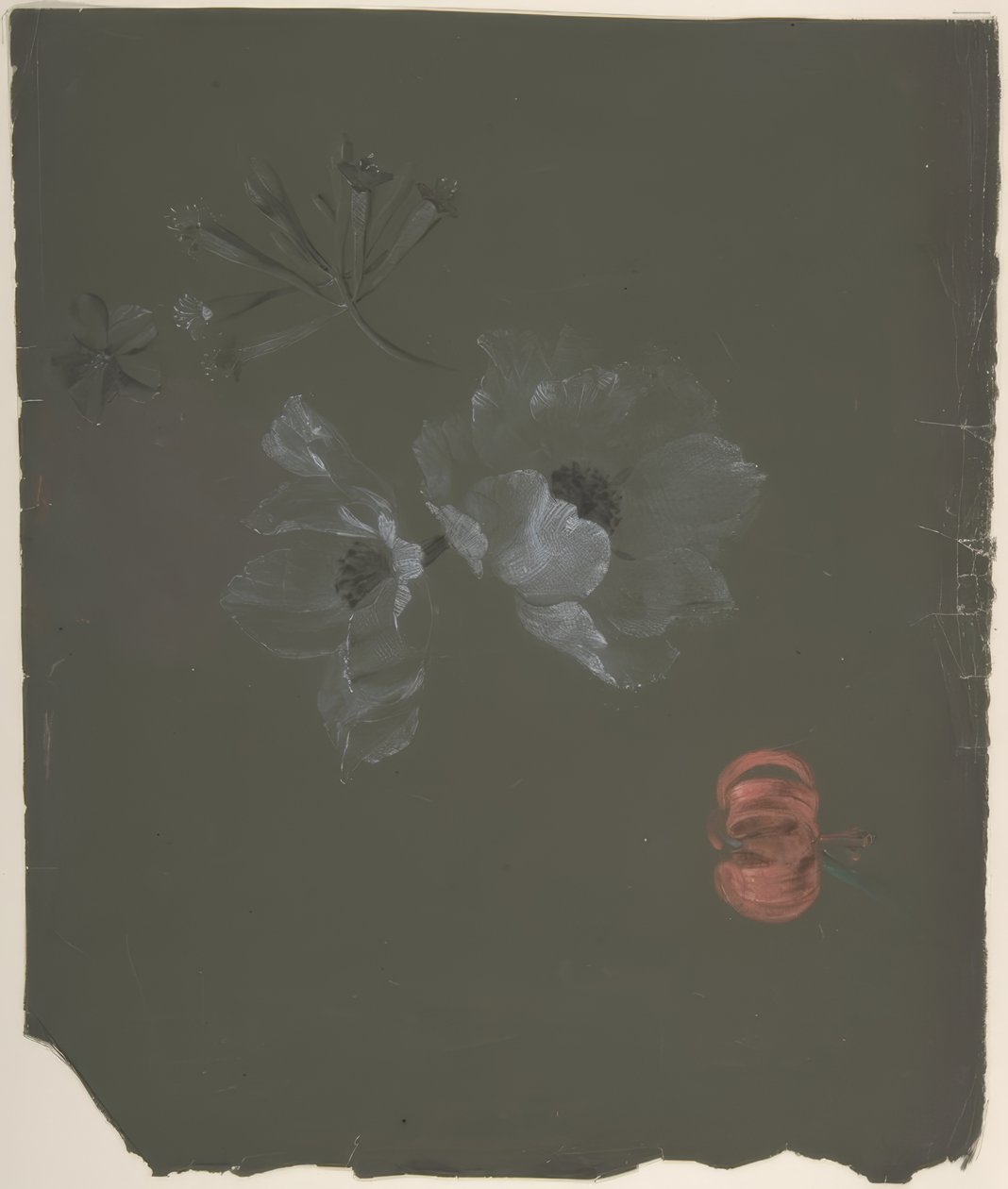 Floraal ontwerp door Antoine Berjon