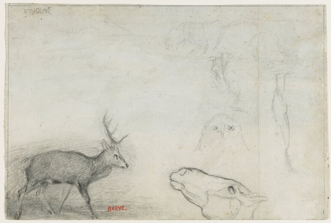Studies van Dieren (verso) door Antoine Louis Barye