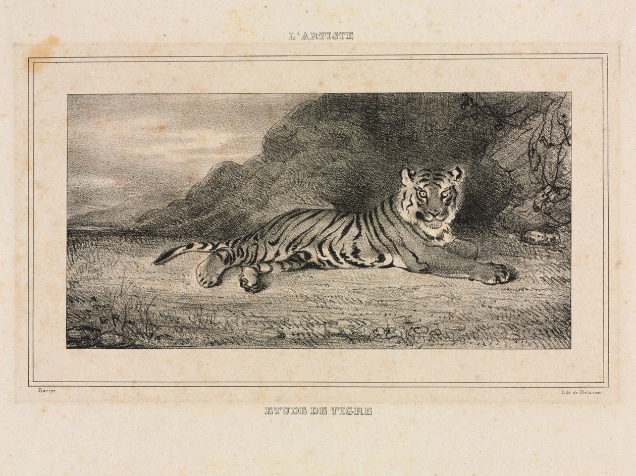 Studie van een tijger, 1832 door Antoine Louis Barye