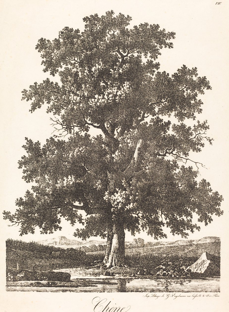Eik door Antoine Pierre Mongin
