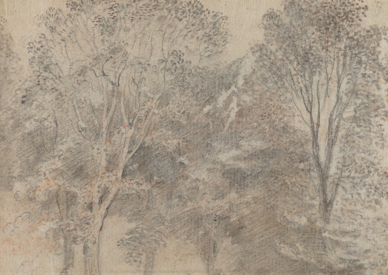 Boomtoppen door Antoine Watteau