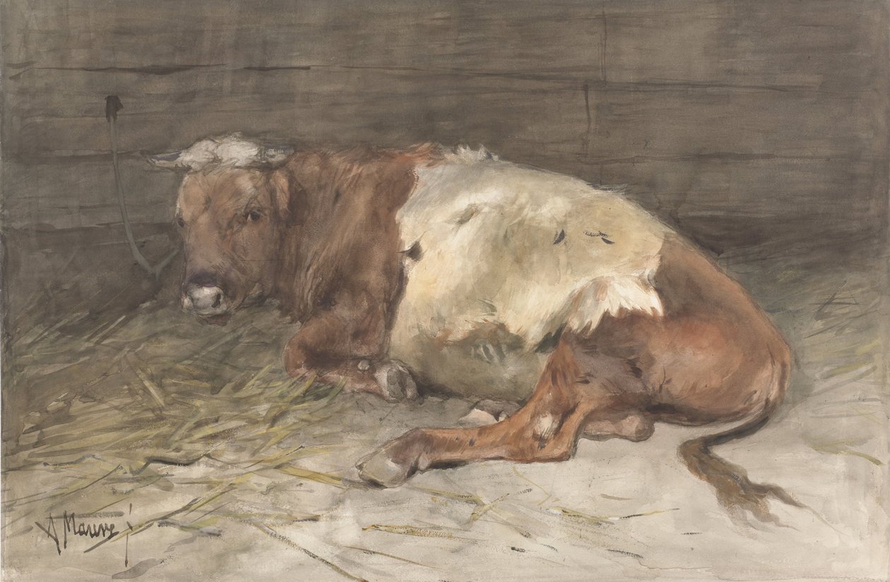Liggende jonge stier door Anton Mauve
