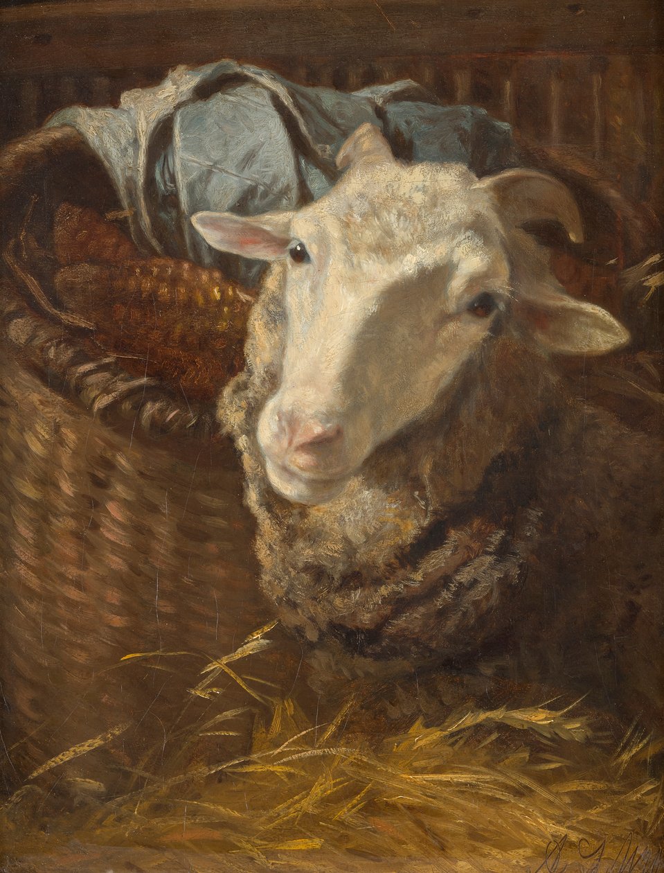 Een schaap door Anton Schrodl