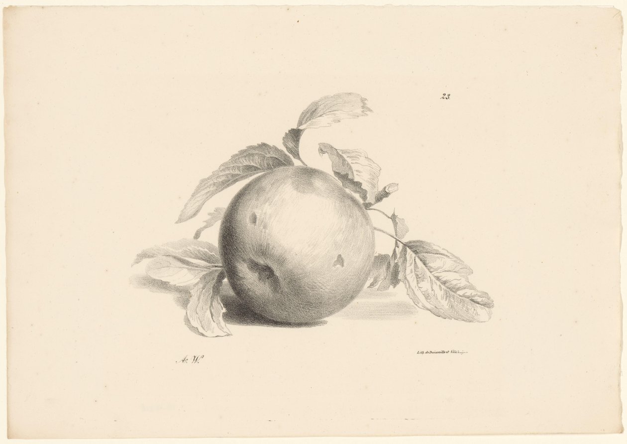 Appel door Anton Weiss