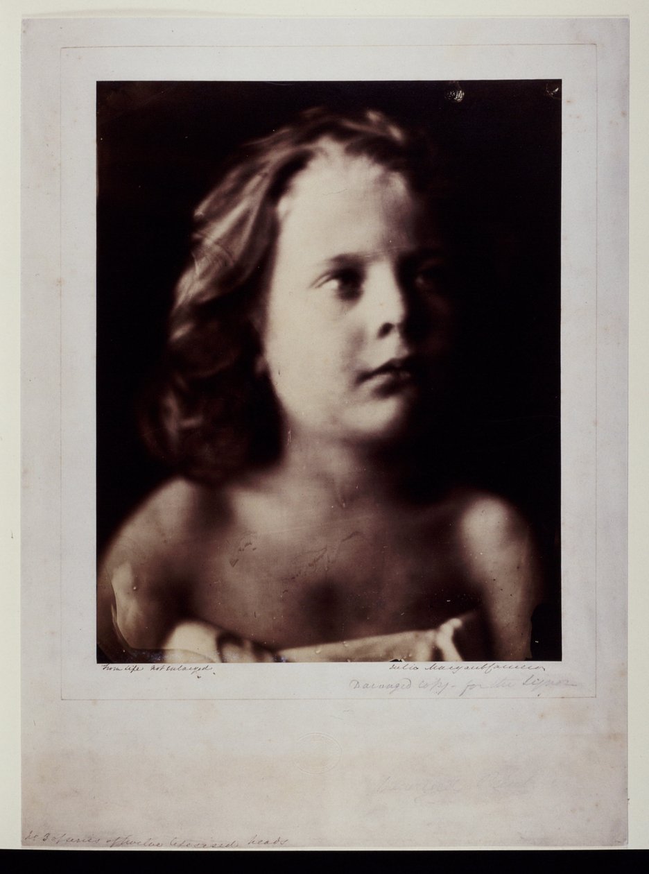 Freddy Gould, c 1866 door Frederick (attr. to) Barnard