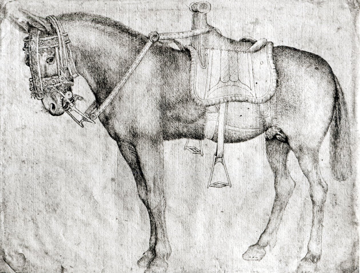 Muildier, uit het Vallardi Album door Antonio Pisanello