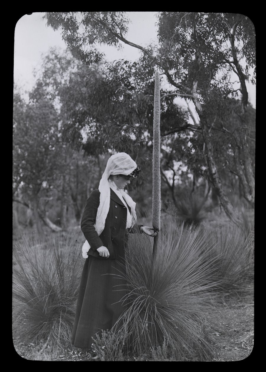 Amy en Xanthorrhoea door Archibald James Campbell
