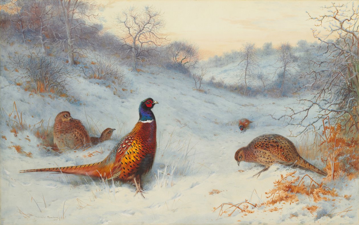 Fazant in de sneeuw door Archibald Thorburn