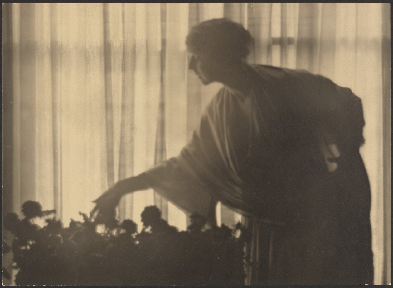 [Vrouw die bloemen verzorgt in haar appartement]. door Arthur F. Kales