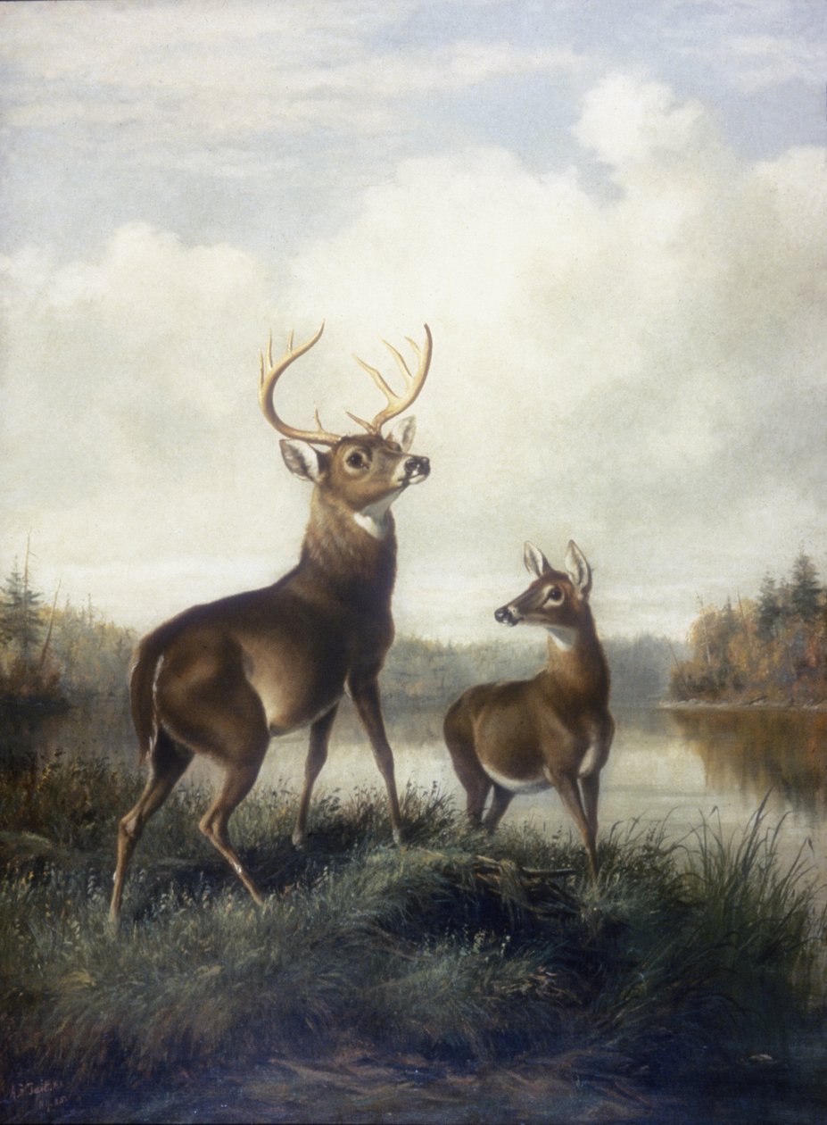 Hert en Hinde door Arthur Fitzwilliam Tait