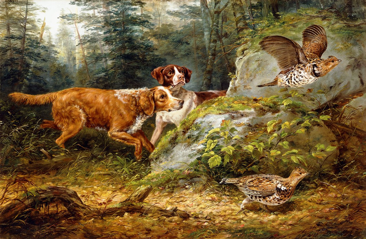 Opgeschrikt: Ruffed Grouse Jacht, 1857 door Arthur Fitzwilliam Tait