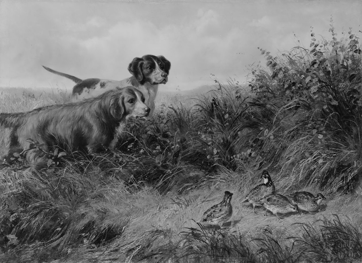 Op punt, 1874 door Arthur Fitzwilliam Tait