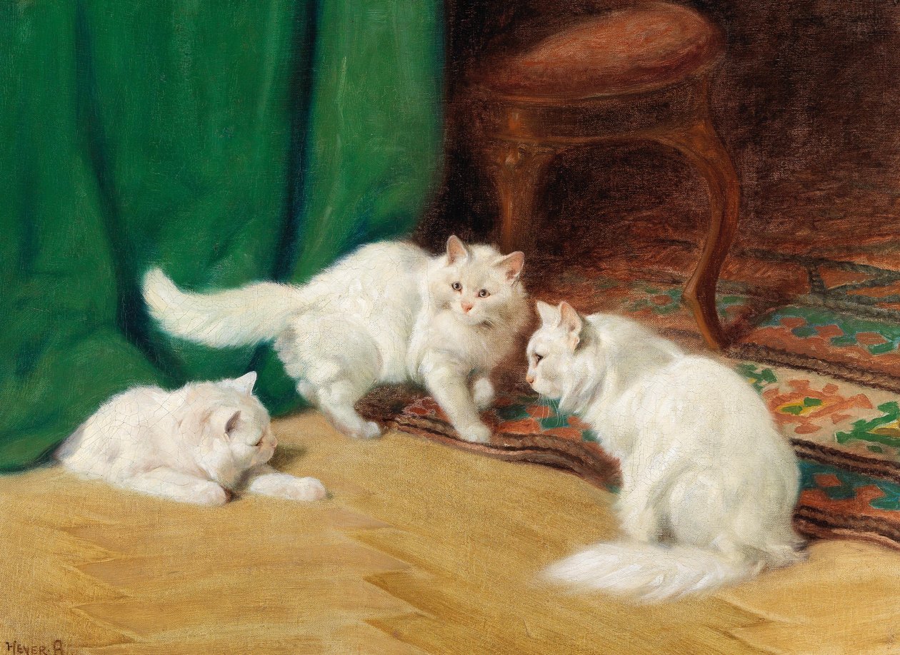 Gesprek onder katten, door Arthur Heyer