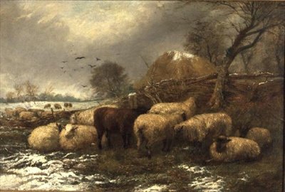Schuilplaats door Arthur J. Stark