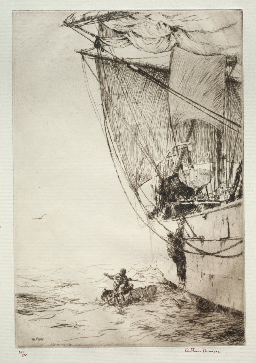 De piloot door Arthur John Trevor Briscoe