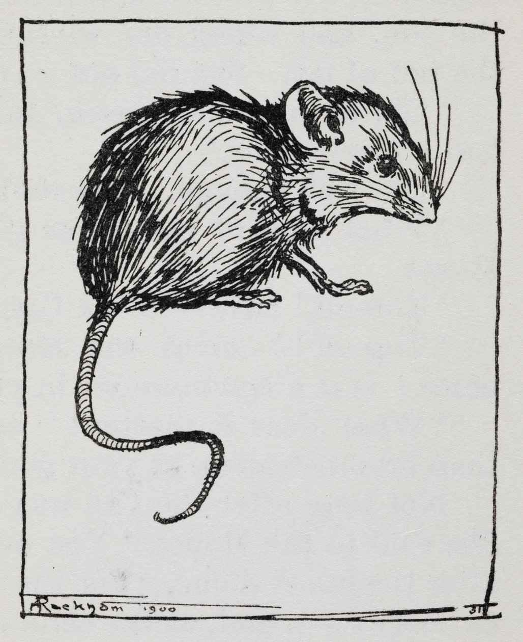 Een muis door Arthur Rackham