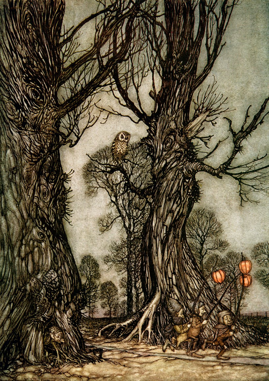 Peter Pan in Kensington Gardens door Arthur Rackham