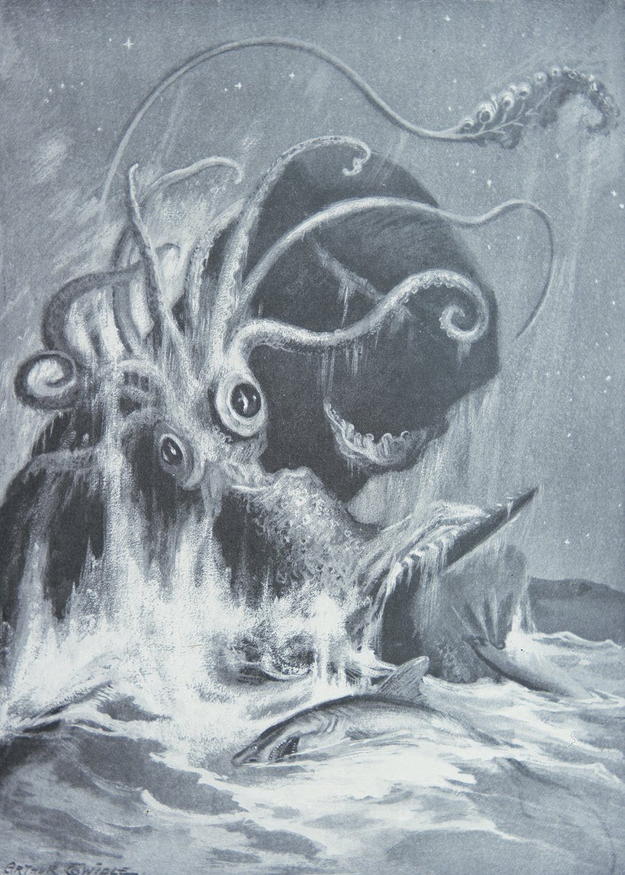 De Kraken vs. Potvissen door Arthur Twidle