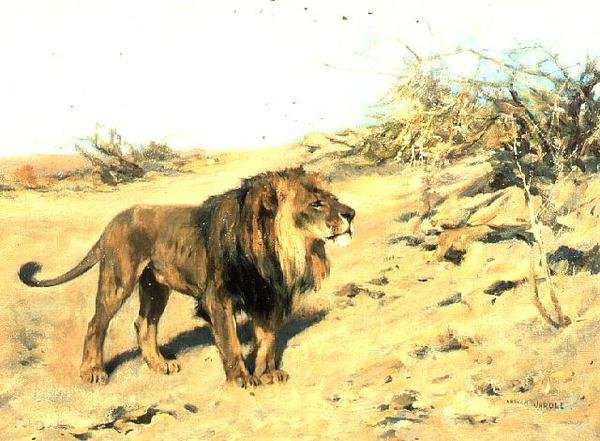 Een Leeuw Tussen Struiken door Arthur Wardle