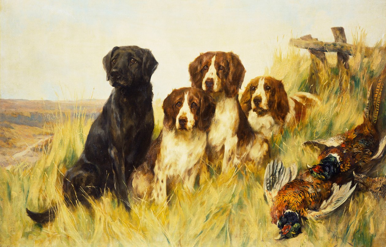 Vooruitkijken door Arthur Wardle