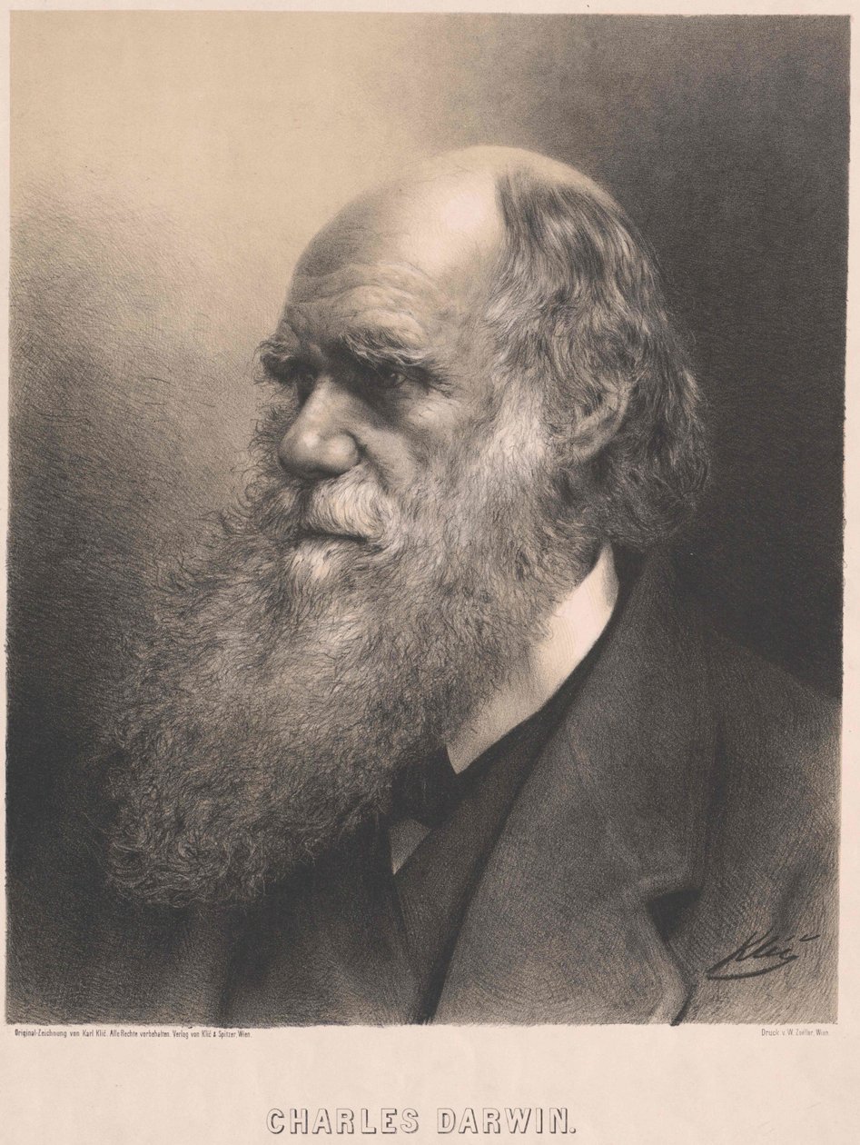 Charles Darwin door Artist Unknown