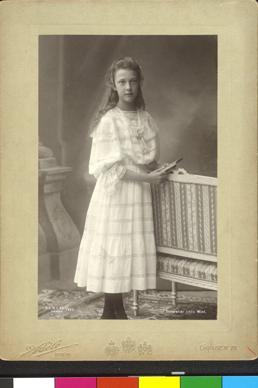 Elisabeth Frances door Artist Unknown