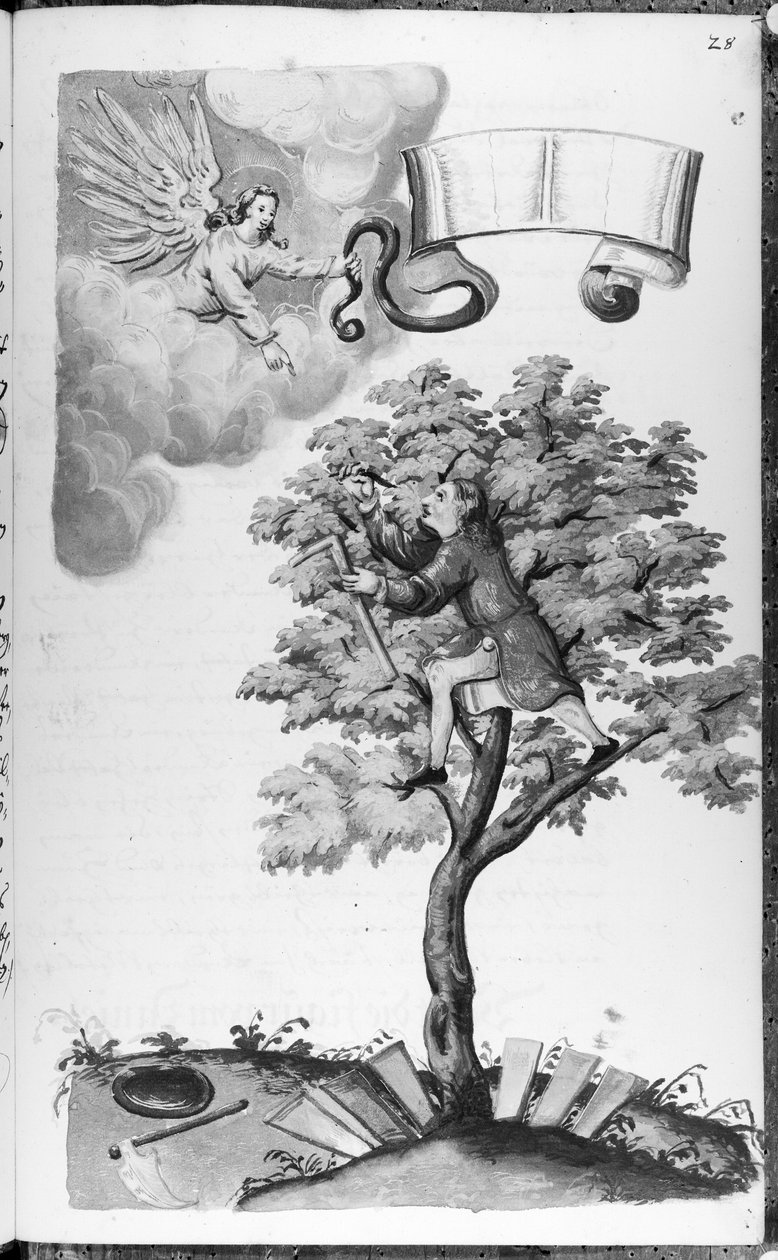 Folio 28 codex 11134 door Artist Unknown