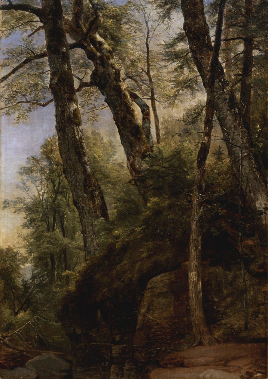 Zwarte berken, Catskill Mountains door Asher Brown Durand