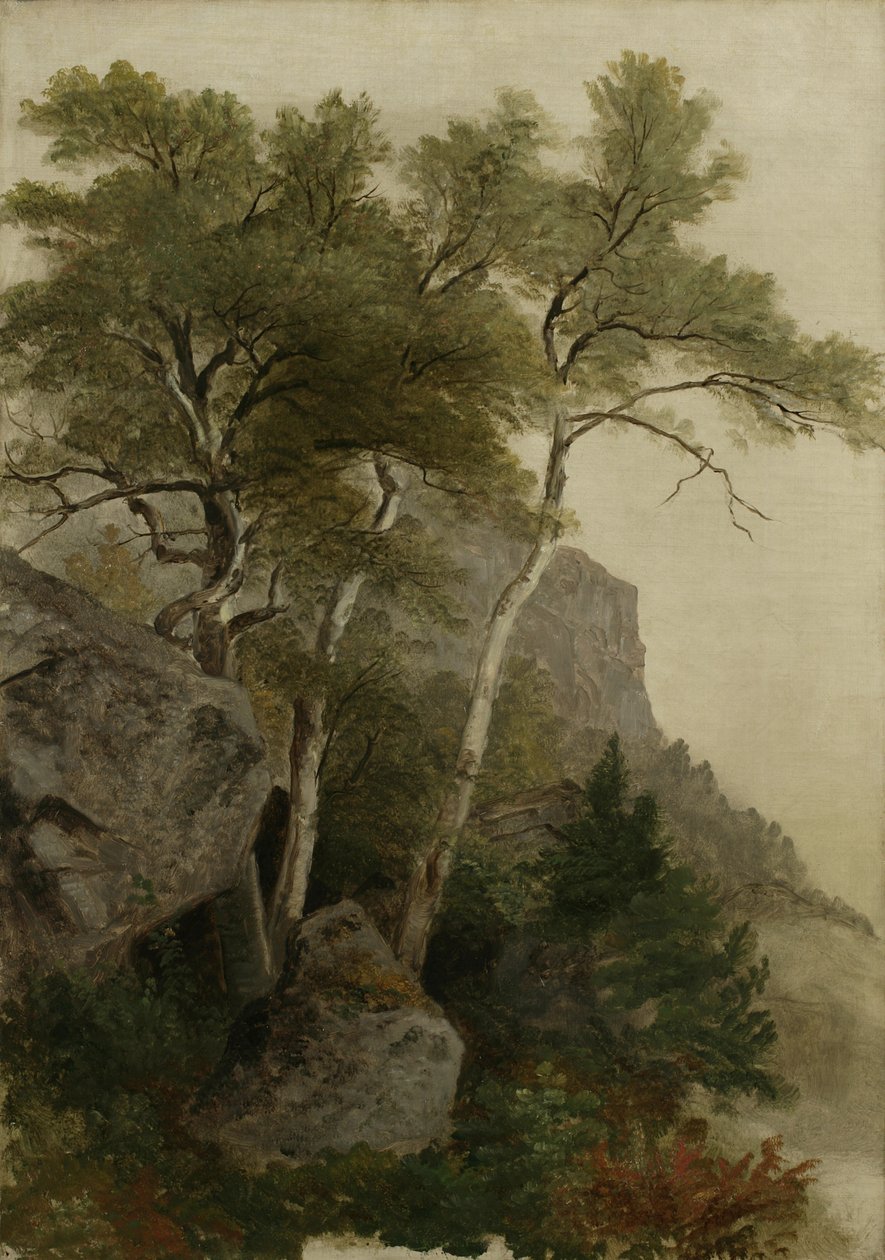 Landschap door Asher Brown Durand