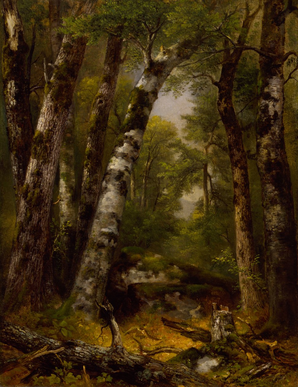 Bos Glen door Asher B. Durand