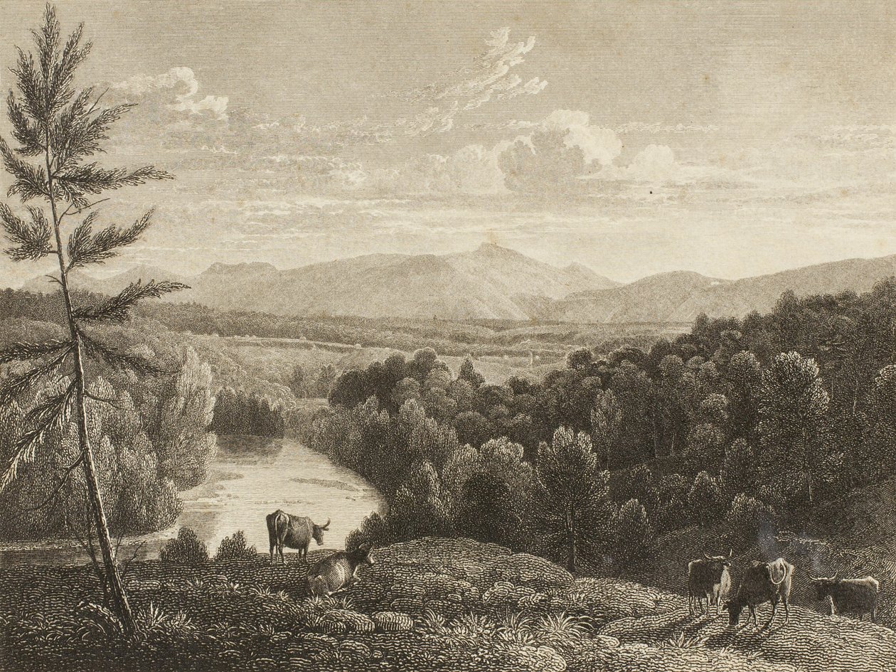 Catskill Bergen door Asher Brown Durand