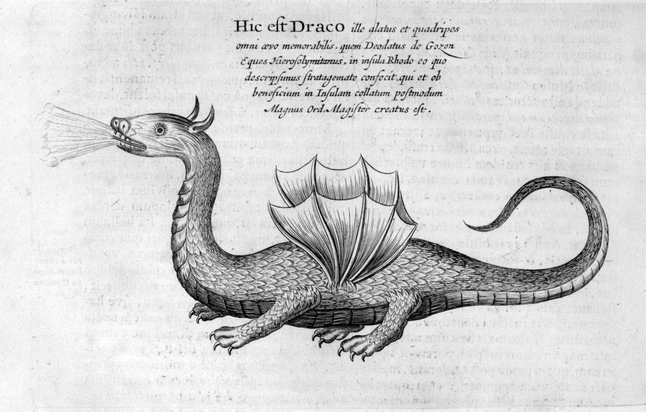 Draak, 1678 door Athanasius Kircher