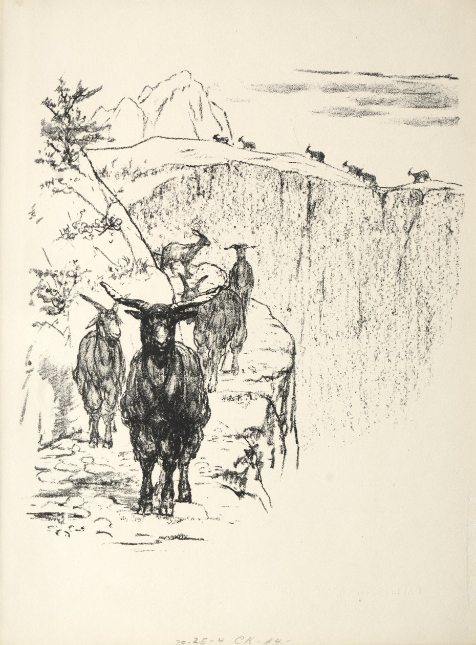 Geiten door August Gaul