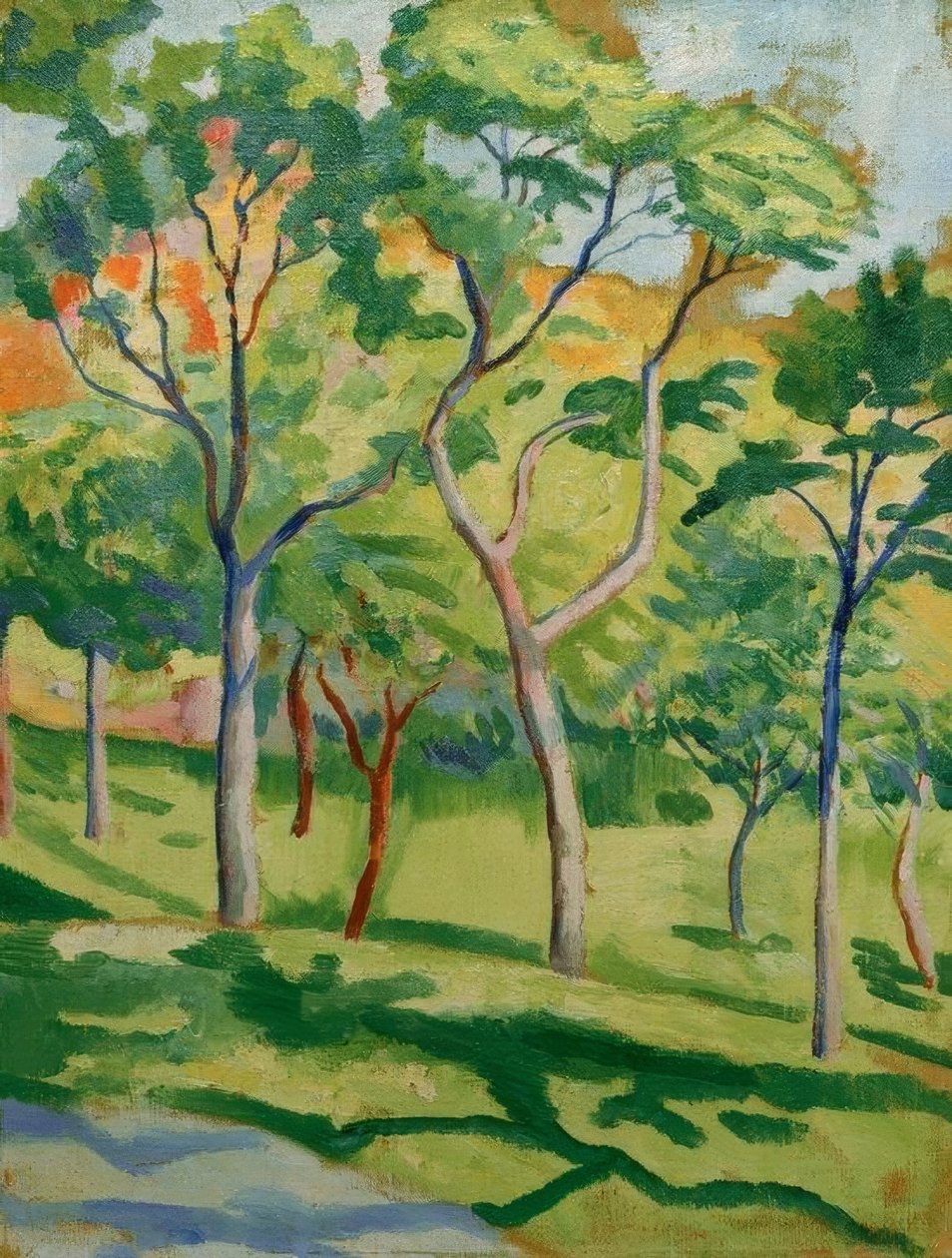 Bomen in de Weide door August Macke