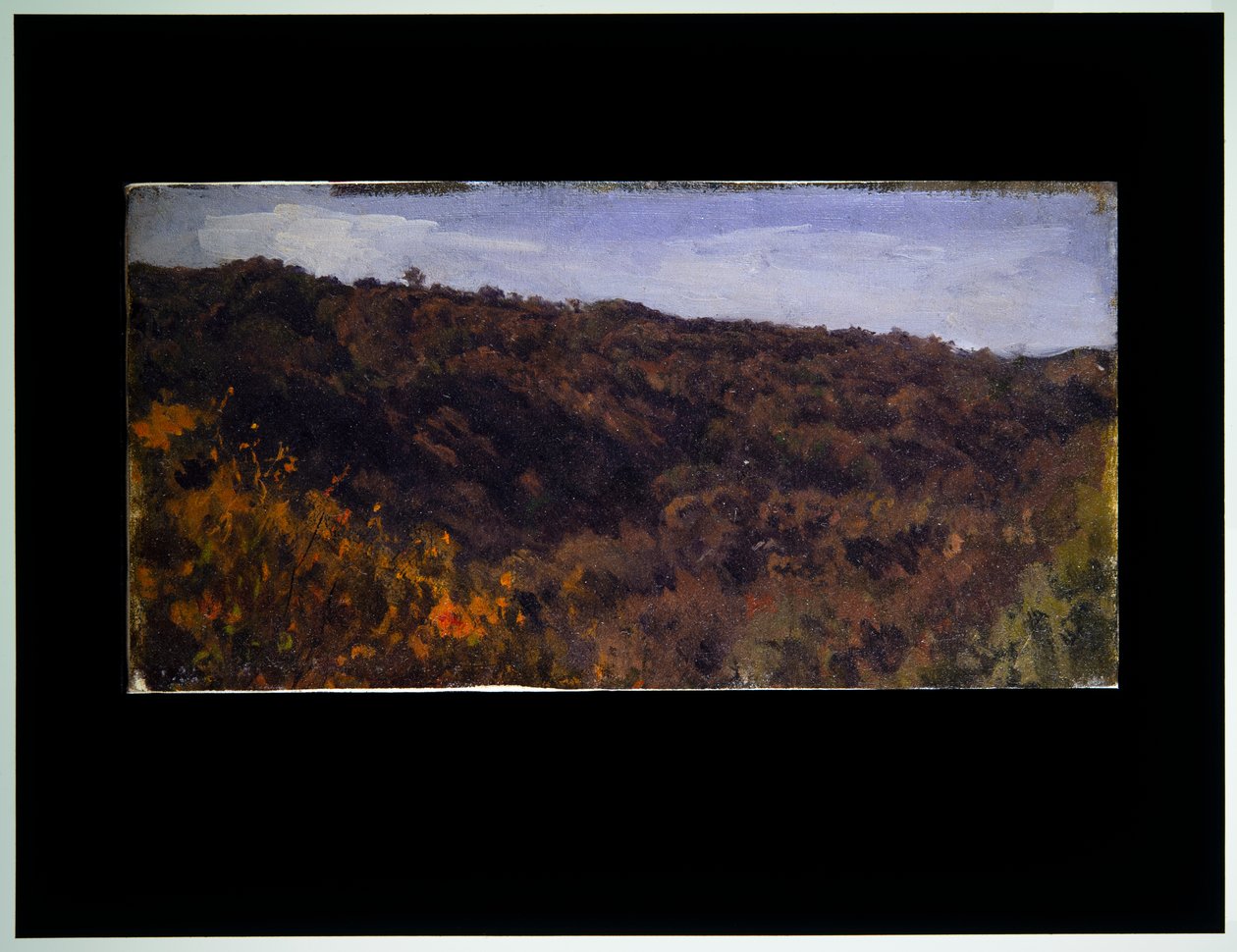 Twee Landschappen door Auguste Francois Bonheur