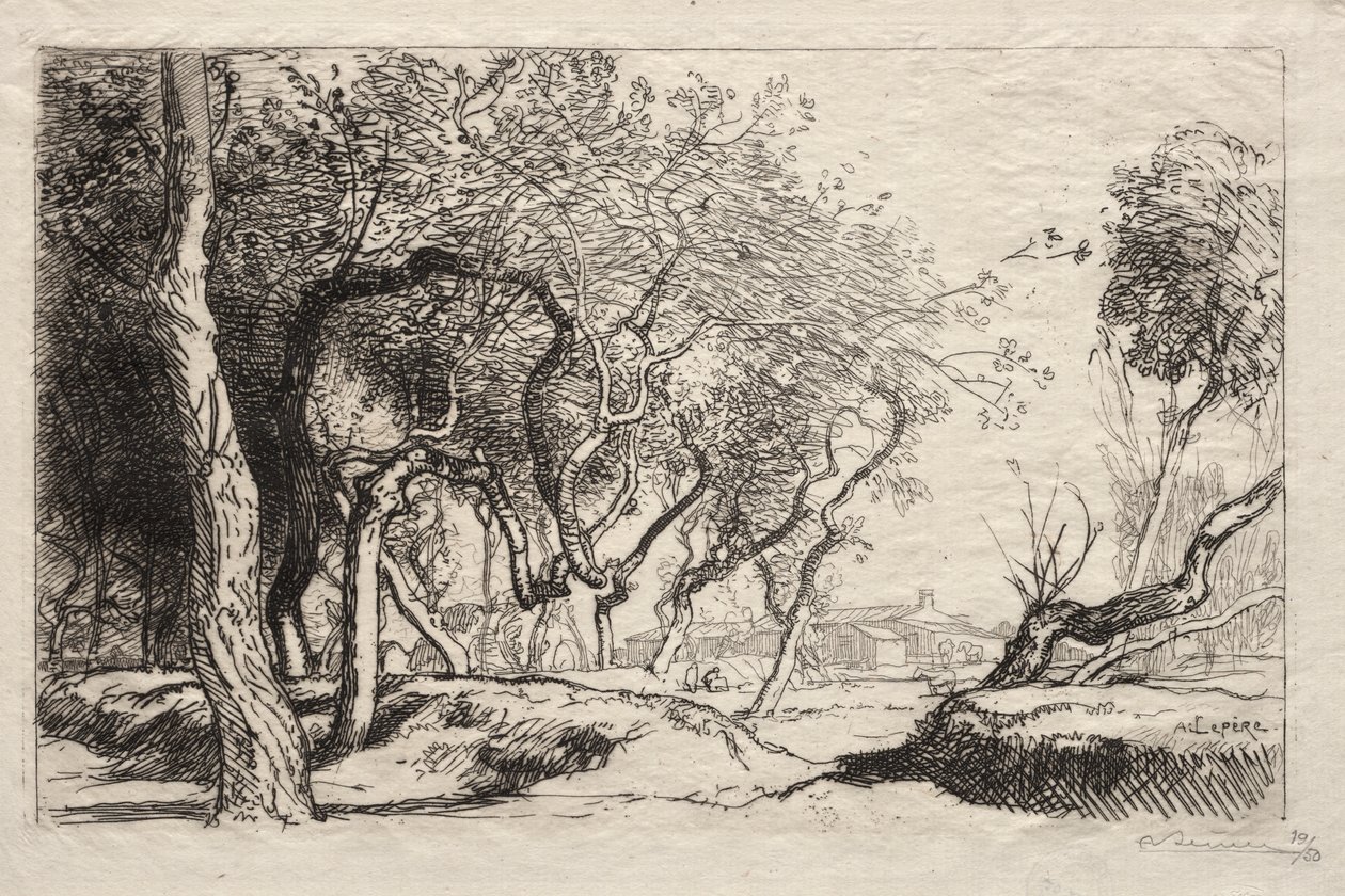 De Gedraaide Boom door Auguste Louis Lepère