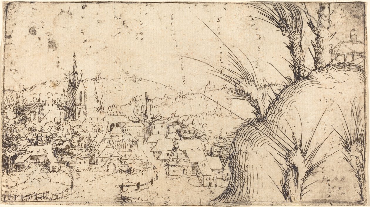 Landschap met een stad links door Augustin Hirschvogel