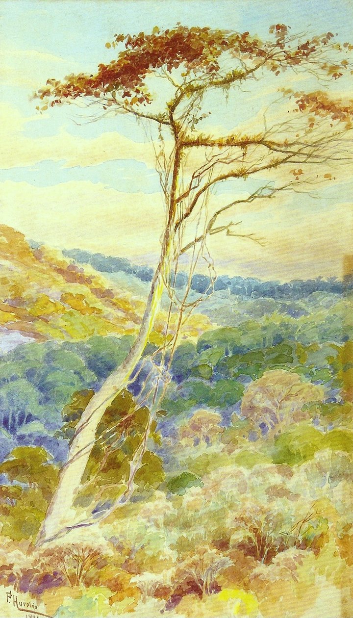 Landschap door Aurelio de Figueiredo