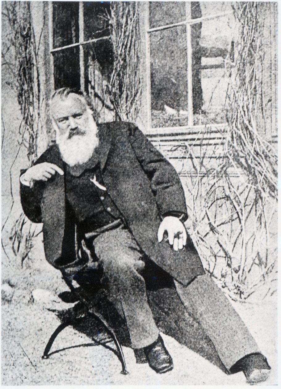 Johannes Brahms, ca. 1897 door Austrian Photographer