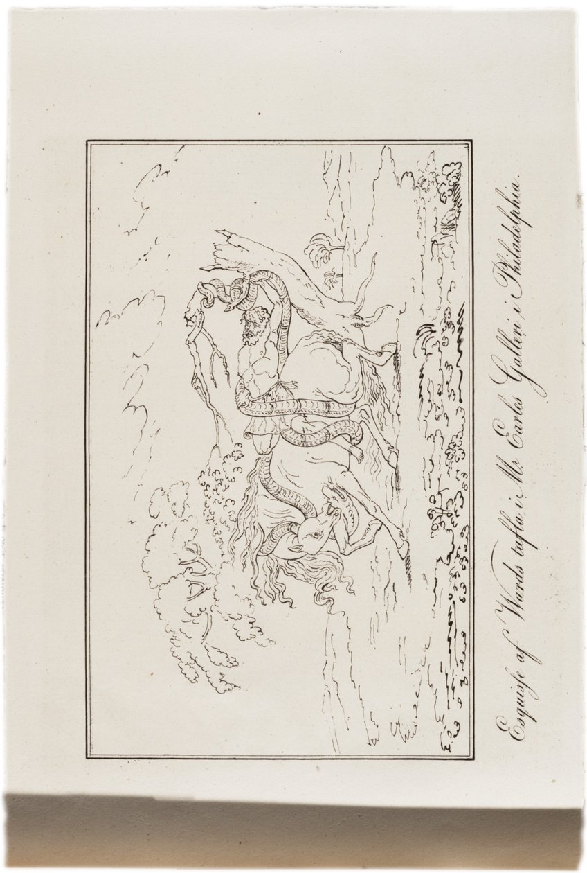 Schets van Ward