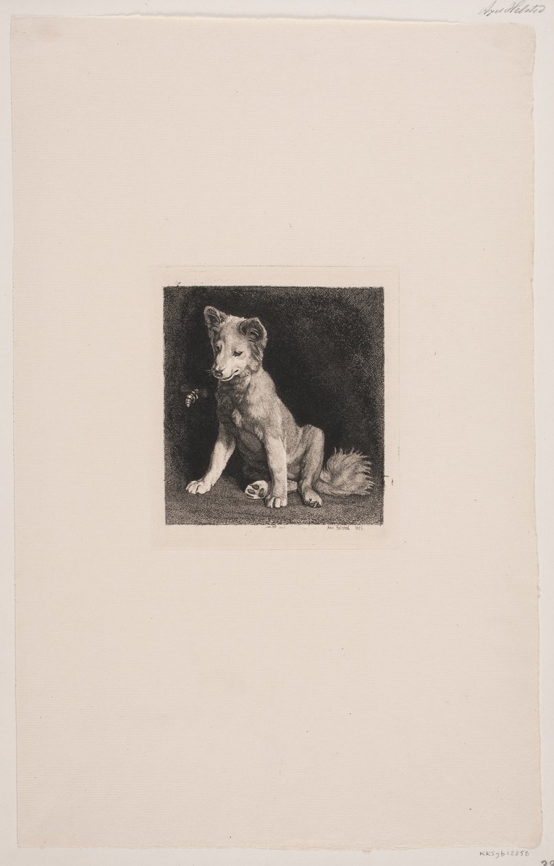 De hond en de bij door Axel Helsted
