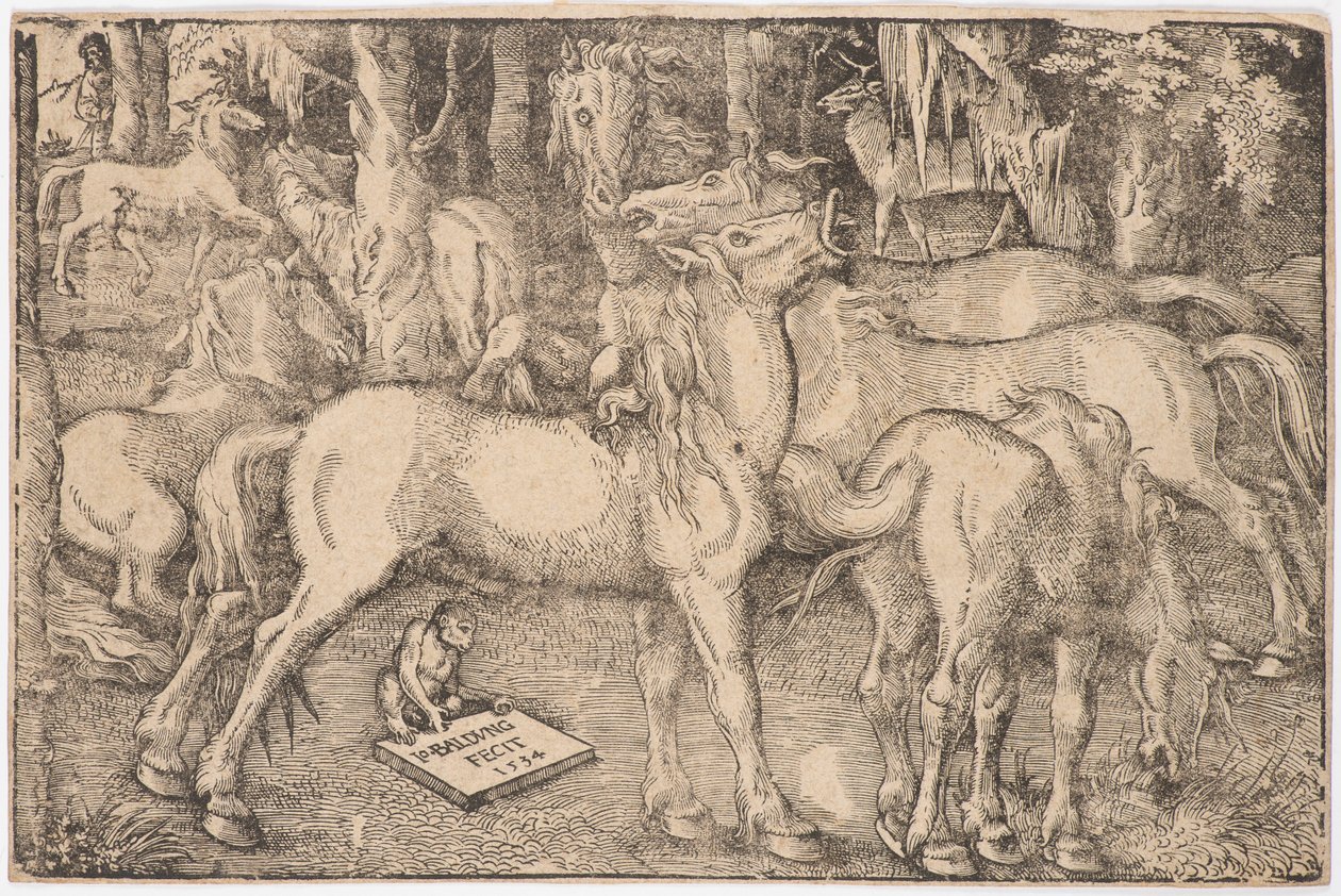 Groep van zeven paarden, 1534 door Baldung