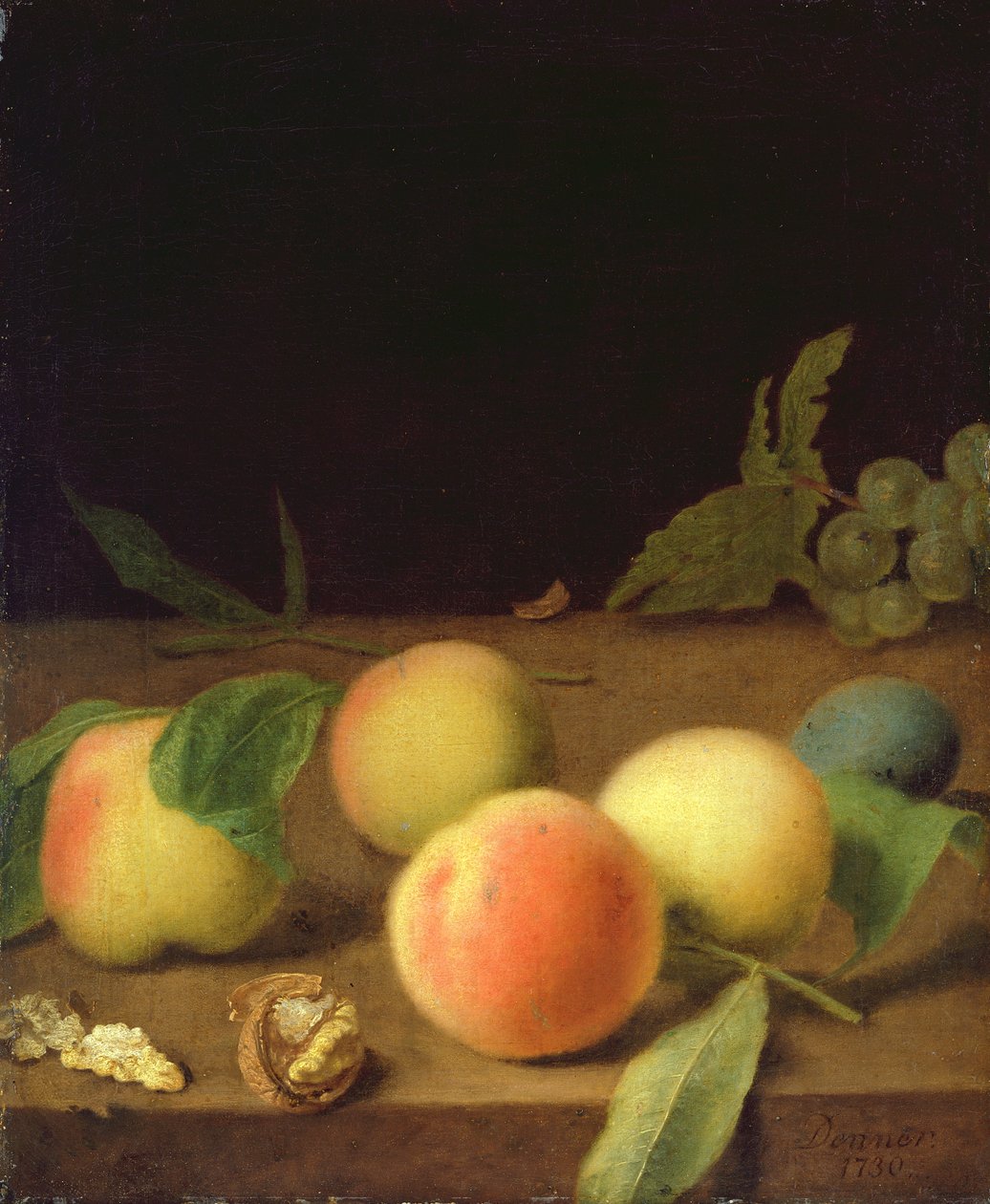 Fruit stilleven, 1730 door Balthasar Denner