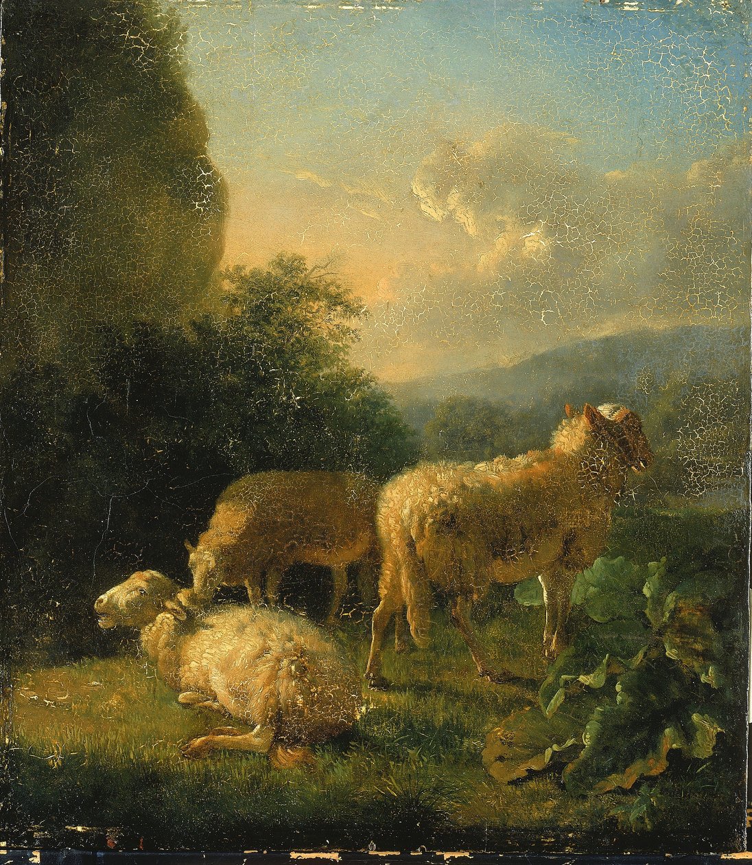 Schapen door Balthasar Paul Ommeganck