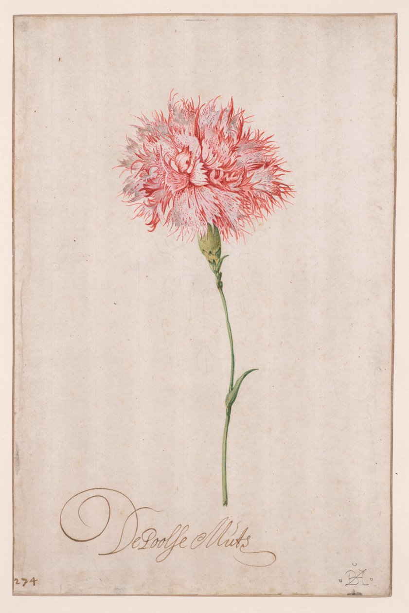 De Poolse Muts door Balthasar van der Ast