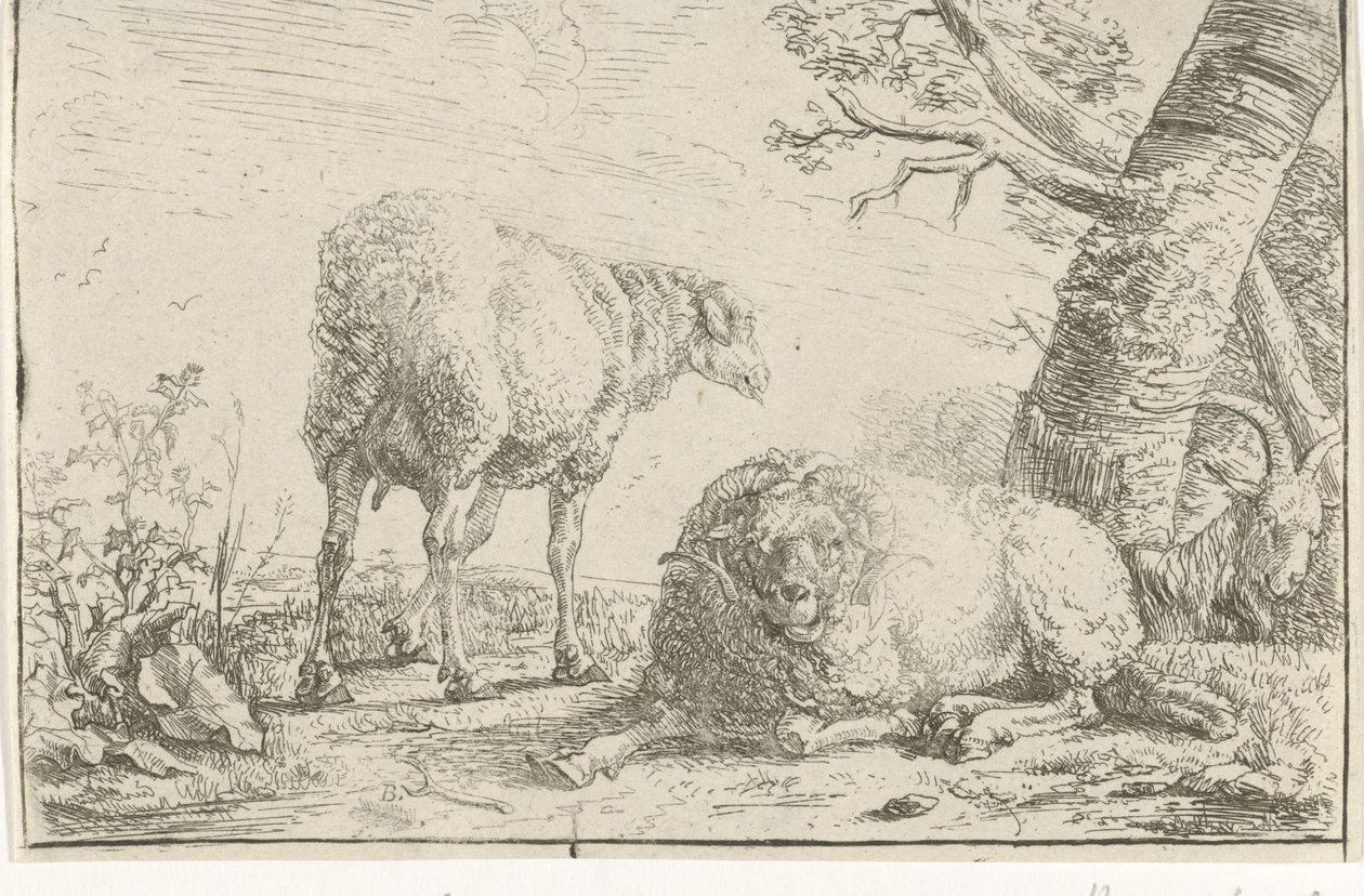 Twee schapen en een geit door Barend Graat
