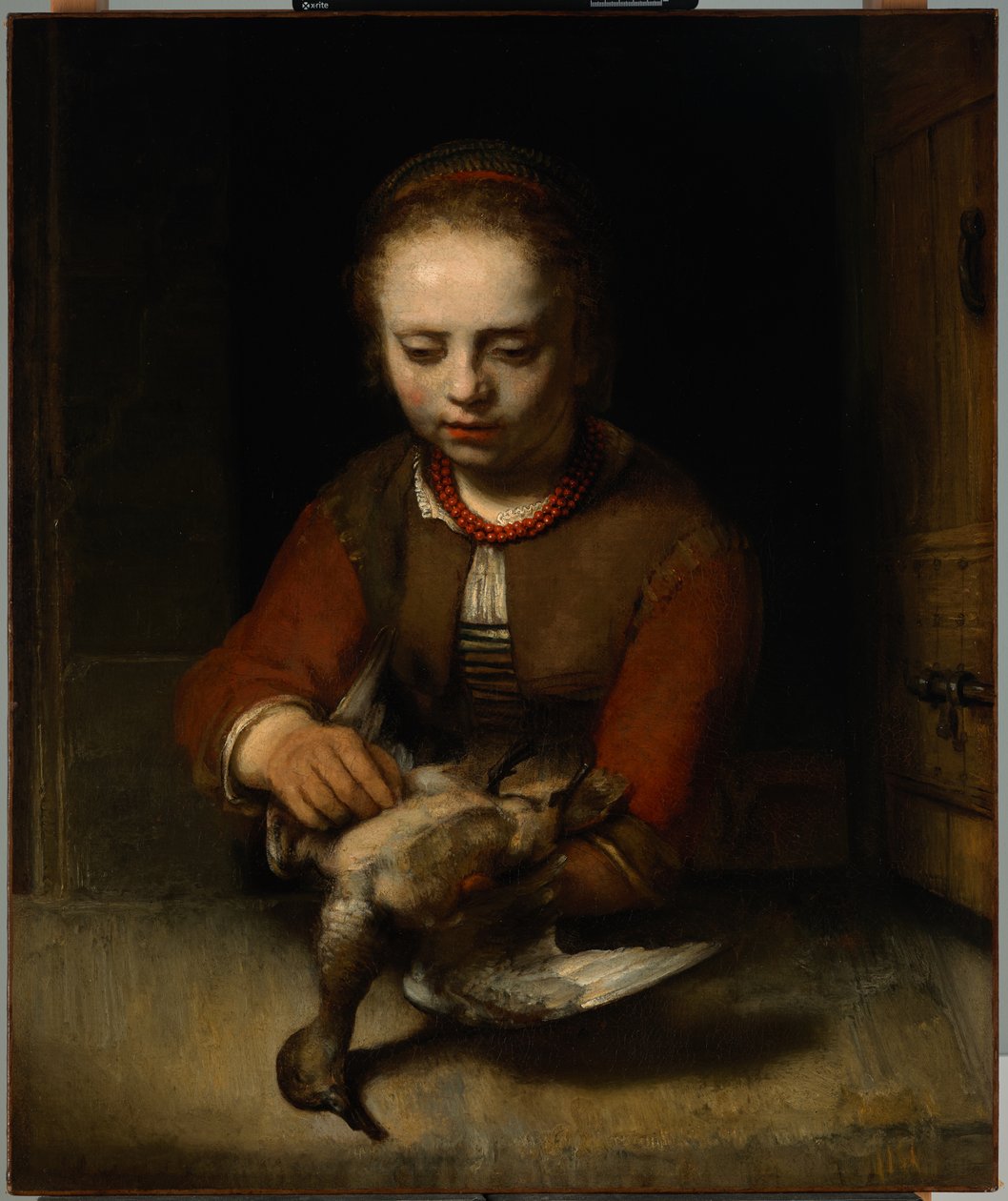 Jong meisje plukt een eend door Barent Fabritius