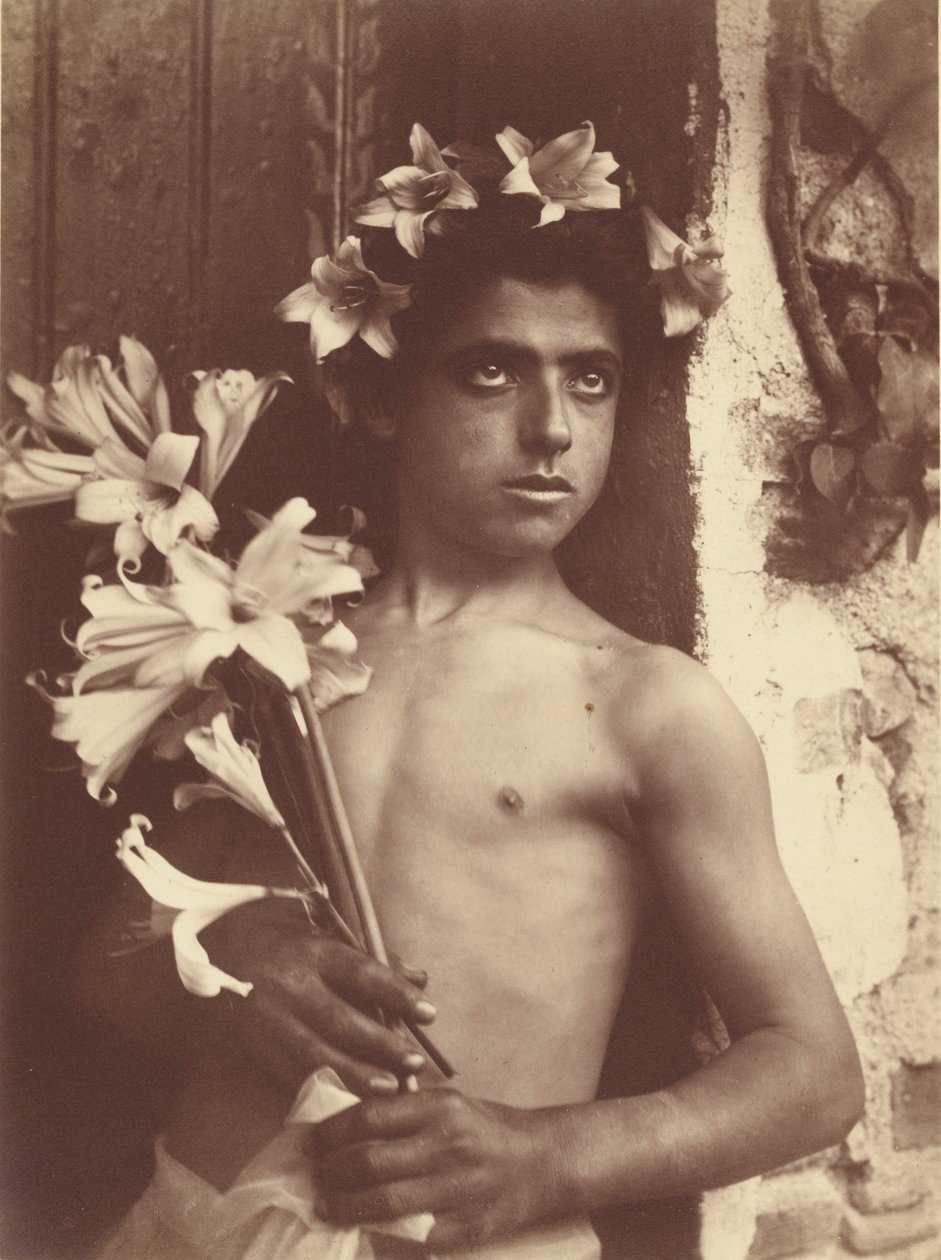 [Jongen met lelies]. door Baron Wilhelm von Gloeden